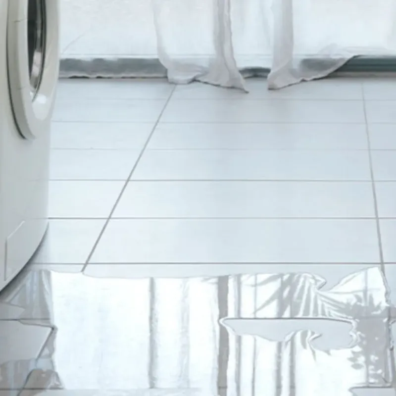 Appliance Leak Cleanup in Celina, TX