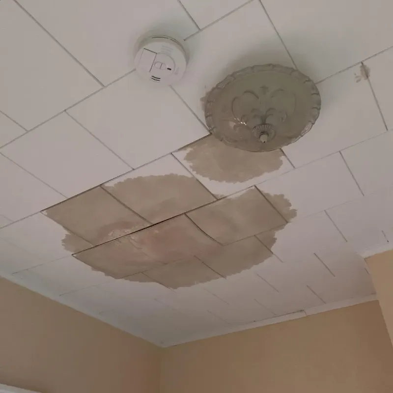 Ceiling Water Damage Repair in Celina, TX